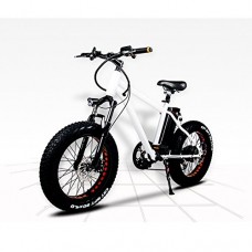 NAKTO 20" 300W Fat Tire Electric Bicycles Snow Beach Bike Shimano 6 Speed Gear E-bike with Removable Waterproof Large Capacity 36V10A Lithium Battery and Battery Charger - B079BXNLCP